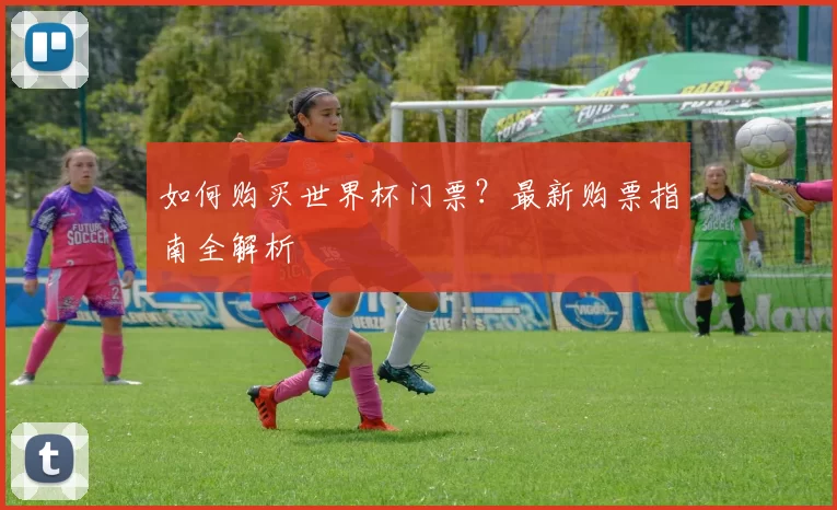 如何购买世界杯门票？最新购票指南全解析