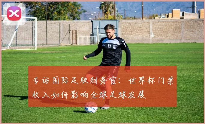 专访国际足联财务官：世界杯门票收入如何影响全球足球发展