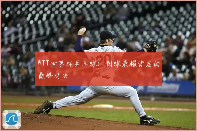 WTT世界杯乒乓球:国球荣耀背后的巅峰对决