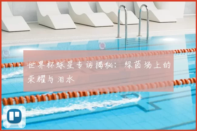 世界杯球星专访揭秘：绿茵场上的荣耀与泪水