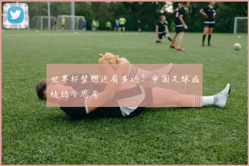 世界杯梦想还有多远？中国足球成绩的冷思考