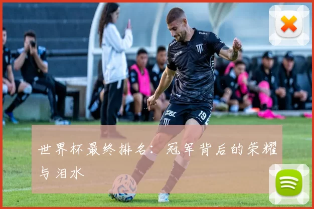 世界杯最终排名：冠军背后的荣耀与泪水