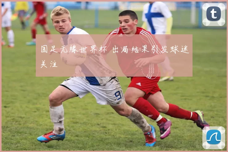 国足无缘世界杯 出局结果引发球迷关注