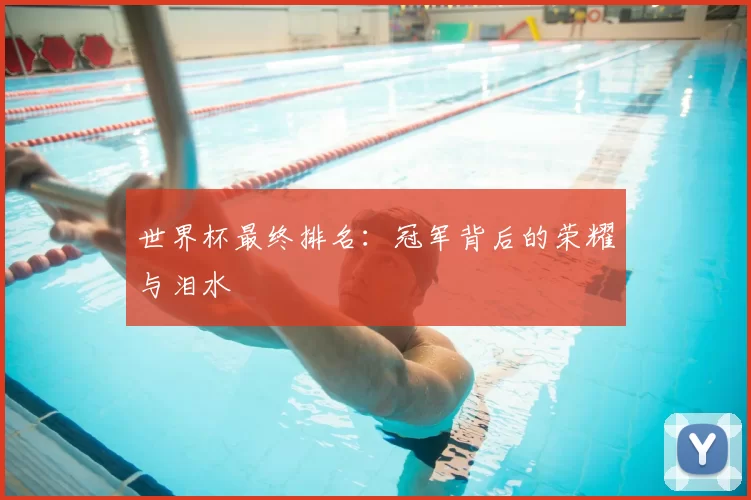世界杯最终排名：冠军背后的荣耀与泪水